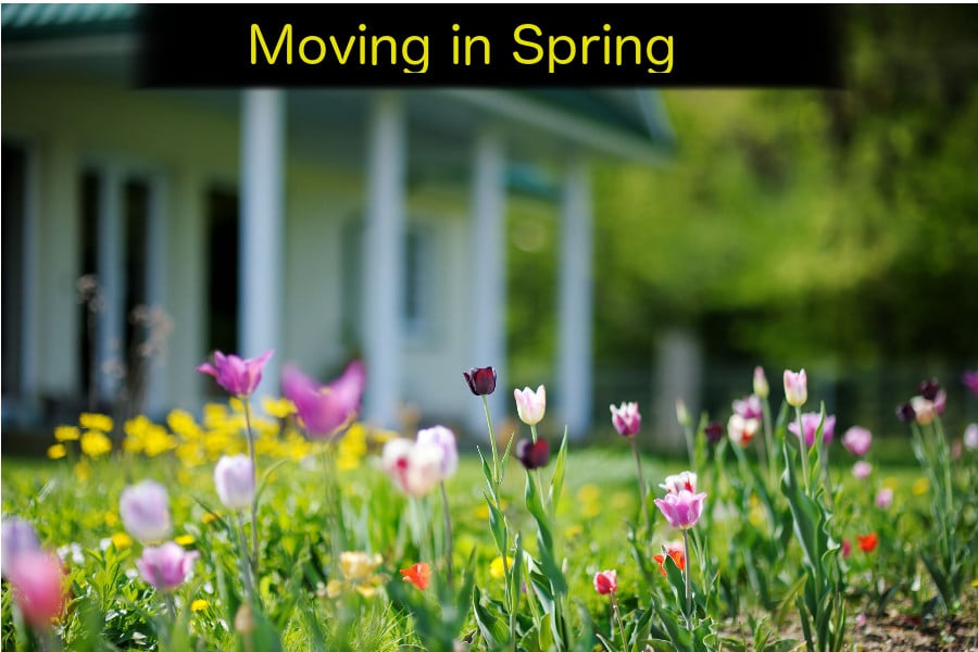 moving in springtime